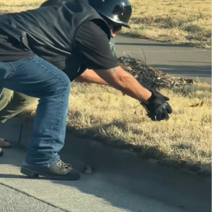 道路の段差に困っていたカモのヒナたちを手助け！親切なライダーたちに「ヒーロー」「リスペクト」の声【アメリカ・動画】