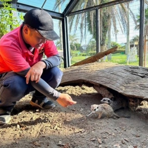 水族館や動物園の動物たちの食費・医療費などをサポートできる制度「OHANA SHIP」