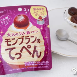 モンブランに乗ってる栗を存分に食べたい！ 濃厚なラム酒が染み込んだ『モンブランのてっぺん』をたべてみた！