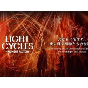 【京都府京都市】夜の京都府立植物園で没入体験！「LIGHT CYCLES KYOTO」開催