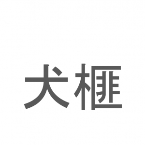 【読めたらスゴイ！】「犬榧」とは一体何のこと！？細長い形の葉が特徴的な植物ですが・・・この漢字を読めますか？