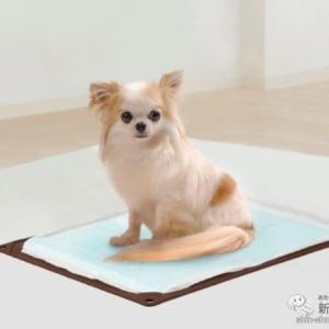 【丸洗い・持ち運びもOK】薄型シリコーン素材の犬用トイレ『ワンコトイレマット』足腰の弱いワンちゃん・シニア犬におすすめ！