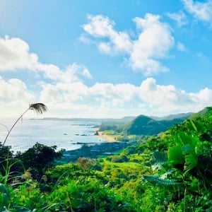 【鹿児島県奄美市】一日限定の野外講義「野生の学校」開校！第一回の校長は養老孟司氏