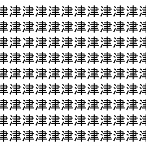 【脳トレ】「津」の中に紛れて1つ違う文字がある！？あなたは何秒で探し出せるかな？？【違う文字を探せ！】