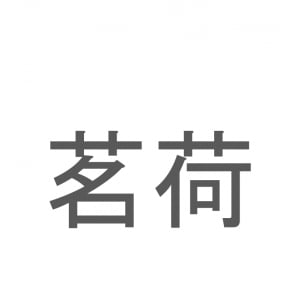 【読めたらスゴイ！】「茗荷」とは一体何のこと！？薬味となる植物ですが・・・この漢字を読めますか？