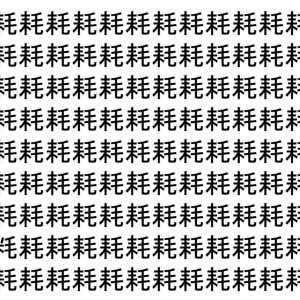 【脳トレ】「耗」の中に紛れて1つ違う文字がある！？あなたは何秒で探し出せるかな？？【違う文字を探せ！】