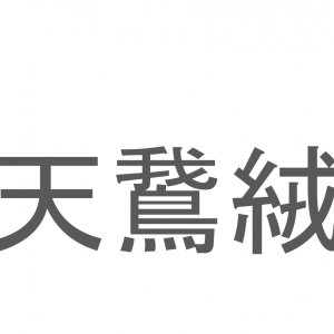 【読めたらスゴイ！】「天鵞絨」とは一体何のこと！？戦国大名も好んだ織物ですが・・・この漢字を読めますか？