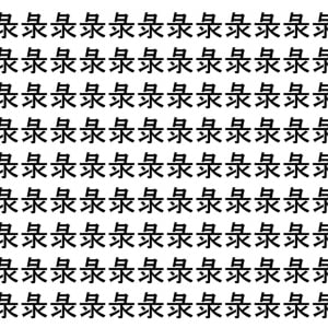 【脳トレ】「彔」の中に紛れて1つ違う文字がある！？あなたは何秒で探し出せるかな？？【違う文字を探せ！】