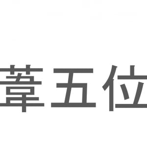 【読めたらスゴイ！】「葦五位」とは一体何のこと！？サギの仲間となる鳥ですが・・・この漢字を読めますか？