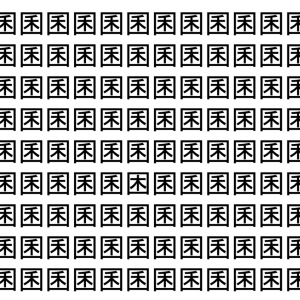 【脳トレ】「囷」の中に紛れて1つ違う文字がある！？あなたは何秒で探し出せるかな？？【違う文字を探せ！】