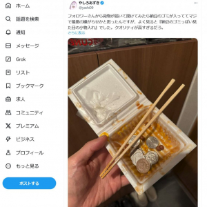 漫画家・やしろあずきさんに届いた「納豆のゴミっぽい見た目の小物入れ」に反響「クオリティが高すぎるだろ」