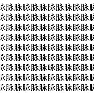 【脳トレ】「脉」の中に紛れて1つ違う文字がある！？あなたは何秒で探し出せるかな？？【違う文字を探せ！】