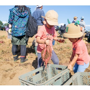 【千葉県香取市】畑でキャンプ体験！芋掘りや座禅、ライブも。「FARVEST」10月19日～20日に開催