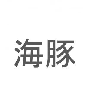 【読めたらスゴイ！】「海豚」とは一体何のこと！？とても賢い水族館の人気者ですが・・・この漢字を読めますか？