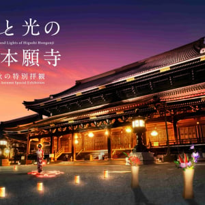 京都・東本願寺で初となる夜間ライトアップイベント！「華と光の東本願寺 秋の特別拝観」10月26日・27日の2日間開催