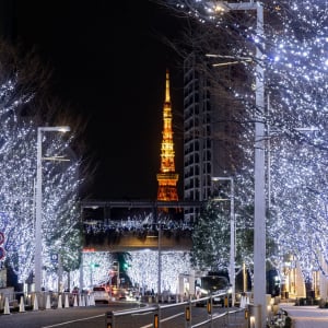 六本木冬の風物詩「けやき坂イルミネーション」が今年も点灯！『Roppongi Hills Christmas 2024』が11月7日より開催