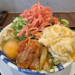 松屋のラーメン二郎インスパイア松郎『ニンニク野菜マシ大盛り牛めし』をトッピングマシマシで食べた結果