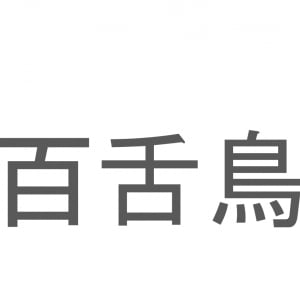 【読めたらスゴイ！】「百舌鳥」とは一体何のこと！？漢字は3文字なのに読みは2文字の鳥ですが・・・この漢字を読めますか？