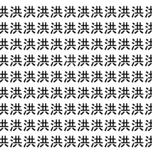 【脳トレ】「洪」の中に紛れて1つ違う文字がある！？あなたは何秒で探し出せるかな？？【違う文字を探せ！】