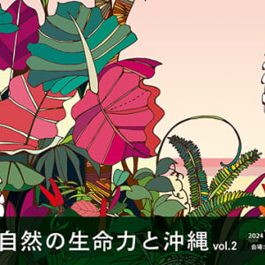 【東京都目黒区】インテリアショップSEMPREで、沖縄ならではの植物・工芸品・食を楽しめる企画展開催中