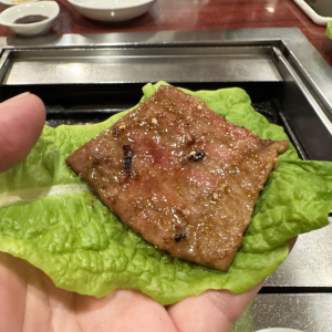 【グルメ】神保町の焼肉店『京城園』に行ったら絶対に食べるべき焼肉6選 / 独りカルビせよ