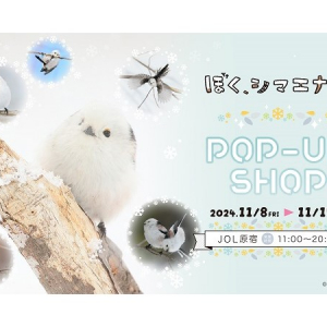 【東京都渋谷区】シマエナガのかわいい姿が存分に楽しめる「ぼく、シマエナガ。POP-UP SHOP」開催！