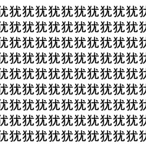 【脳トレ】「犹」の中に紛れて1つ違う文字がある！？あなたは何秒で探し出せるかな？？【違う文字を探せ！】