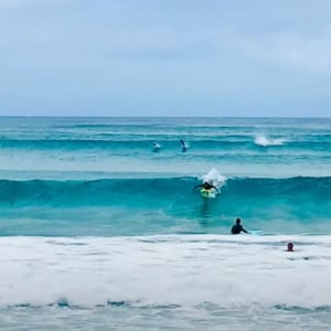 波に乗るのはサーファーだけじゃない！？イルカの群れも波に乗って現れた！！【海外・動画】