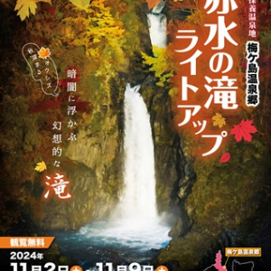 【静岡県静岡市】11/2～9はオクシズ梅ケ島地区の『赤水の滝ライトアップ』へ！花火や出店もあり