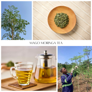 スーパーフード「モリンガ」を使用！「MAGO MORINGA TEA」が新登場