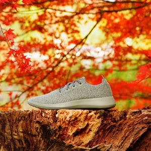 【愛知県】快適なシューズを展開する「Allbirds」が名古屋初上陸！名古屋ラシックでPOP UP開催