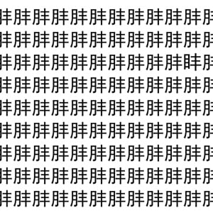 【脳トレ】「肨」の中に紛れて1つ違う文字がある！？あなたは何秒で探し出せるかな？？【違う文字を探せ！】