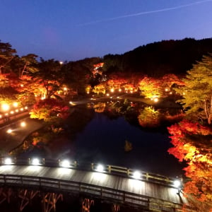 静岡・修善寺虹の郷、紅葉イベント「もみじライトアップ」＆「秋の打上花火」11月16日より開催！