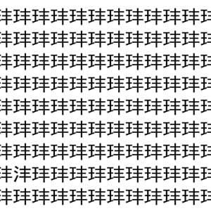 【脳トレ】「玤」の中に紛れて1つ違う文字がある！？あなたは何秒で探し出せるかな？？【違う文字を探せ！】