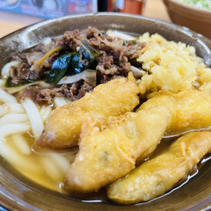 ワイルドエリア福岡で絶対にやっておくべきこと →牧のうどんで「肉ごぼう天うどん」を食べる【ポケモンGO】