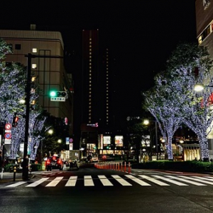 【東京都品川区】「大井町イルミネーション2024」開催中！高知県の間伐材を活用したツリーが登場