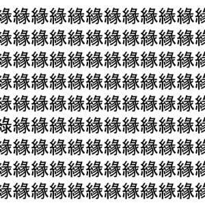 【脳トレ】「緣」の中に紛れて1つ違う文字がある！？あなたは何秒で探し出せるかな？？【違う文字を探せ！】