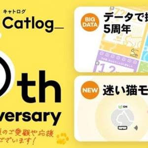 猫の健康に関する「Catlog」のデータを公開＆新機能「迷い猫モード」をリリース！