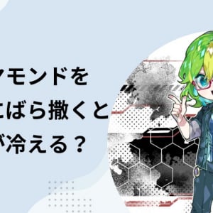 ダイヤモンドを200兆ドル（3京円）分ばら撒くと地球が冷える？ でも地球温暖化対策にはならない？（彩恵りり）