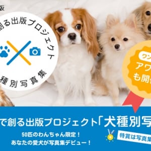 みんなでつくる「犬種別写真集」に掲載するワンちゃん募集中！特賞は愛犬の写真集出版