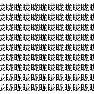 【脳トレ】「眬」の中に紛れて1つ違う文字がある！？あなたは何秒で探し出せるかな？？【違う文字を探せ！】