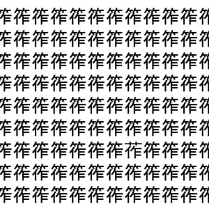 【脳トレ】「筰」の中に紛れて1つ違う文字がある！？あなたは何秒で探し出せるかな？？【違う文字を探せ！】