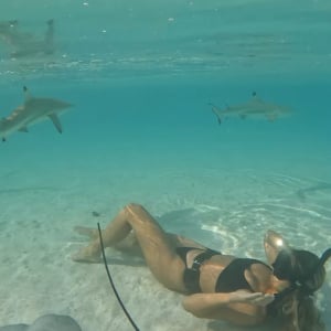 透明度が非常に高いモーレア島の浅瀬の海に潜る女性。その周りを取り囲むように泳いでいるのは、あの危険な海洋生物たち？！【海外・動画】