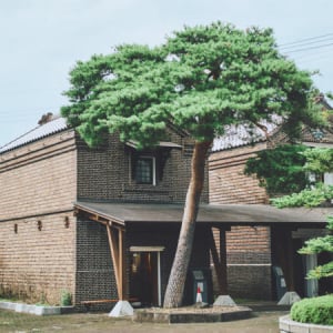 【岩手県旧江刺市(奥州市)】平安時代の栄華に思いを馳せる