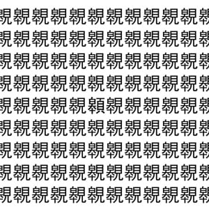 【脳トレ】「䚌」の中に紛れて1つ違う文字がある！？あなたは何秒で探し出せるかな？？【違う文字を探せ！】