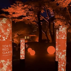 八芳園が秋恒例の庭園イベント『TOKYO RED GARDEN 2024』を開催　今年のテーマは「秋、謳う。」