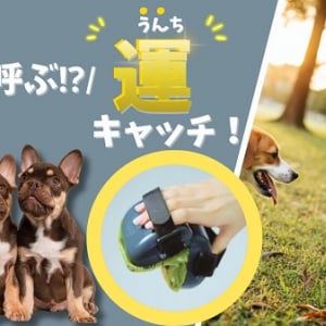 手を汚さずサッと片付け！愛犬のうんちを手軽に処理する散歩アイテム、クラファン開始