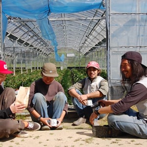 【福岡県福岡市】糸島発いちご屋によるいちご好きのためのいちごカフェ「いちごやcafe TANNAL」OPEN