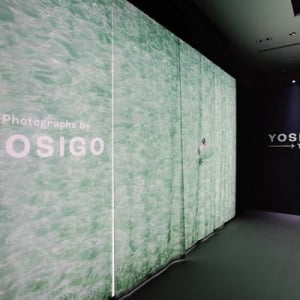 【東京都渋谷区】スペイン出身のフォトグラファーYOSIGO氏の展覧会が開催中！200点以上の作品を展示