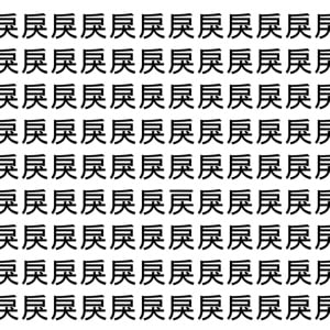 【脳トレ】「戾」の中に紛れて1つ違う文字がある！？あなたは何秒で探し出せるかな？？【違う文字を探せ！】